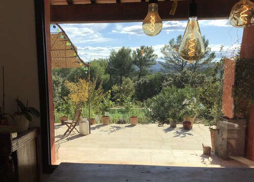 Dreaming in Provence among the olive trees, with a view of the Sainte Beaume mountain range