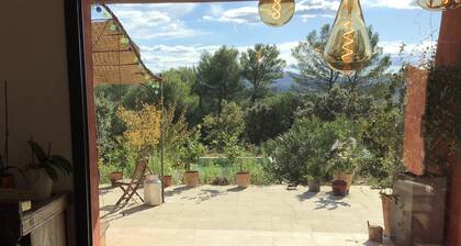 Dreaming in Provence among the olive trees, with a view of the Sainte Beaume mountain range