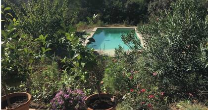 RĂȘve en Provence dans les oliviers, avec vue sur la Sainte Beaume