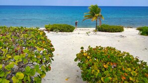 A beach with clear blue water, a person standing, and lush greenery.