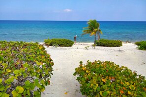 Sun-loungers, beach towels