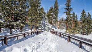 A snow-covered pathway flanked by wooden railings, surrounded by tall evergreen trees. - Spacious, top floor, tree views, tastefully remodeled condo, in The Village (Mammoth Lakes)