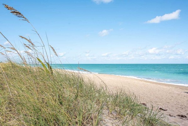 沙滩椅、沙滩毛巾