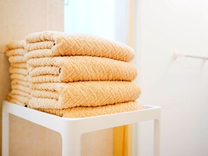 Haartrockner, Handtücher, Shampoo