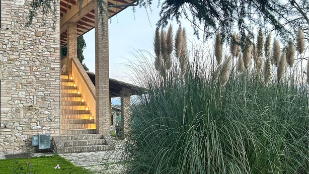 A stone building with a staircase leading to an upper level, surrounded by tall grasses and pampas grass. - Lovely home in Rivotorto di Assisi (Rivotorto di Assisi)