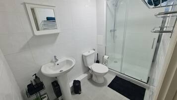 Shower, hair dryer, bidet, towels