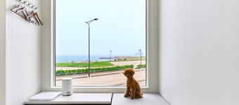 Ocean Standard with Dog / Himi Toyama