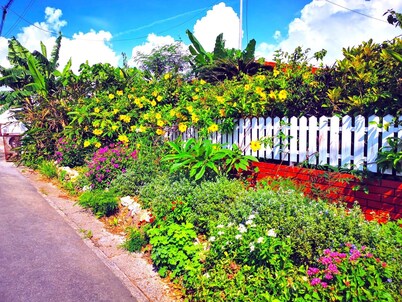 Two seas can be seen at the same time All rooms  / Ishigaki Okinawa