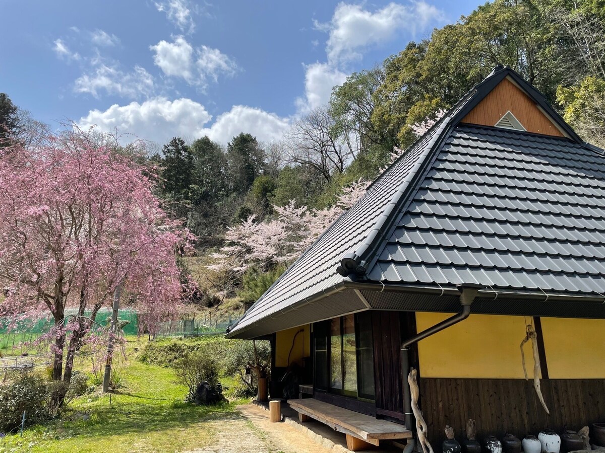 Imagen de perfil del propietario o de la propietaria