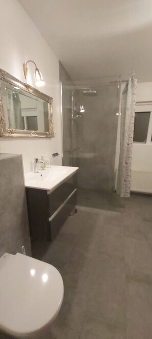 Ducha, secador de pelo, toallas, jabón