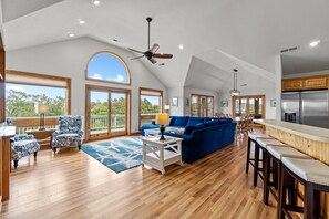 TV, fireplace, video games, DVD player