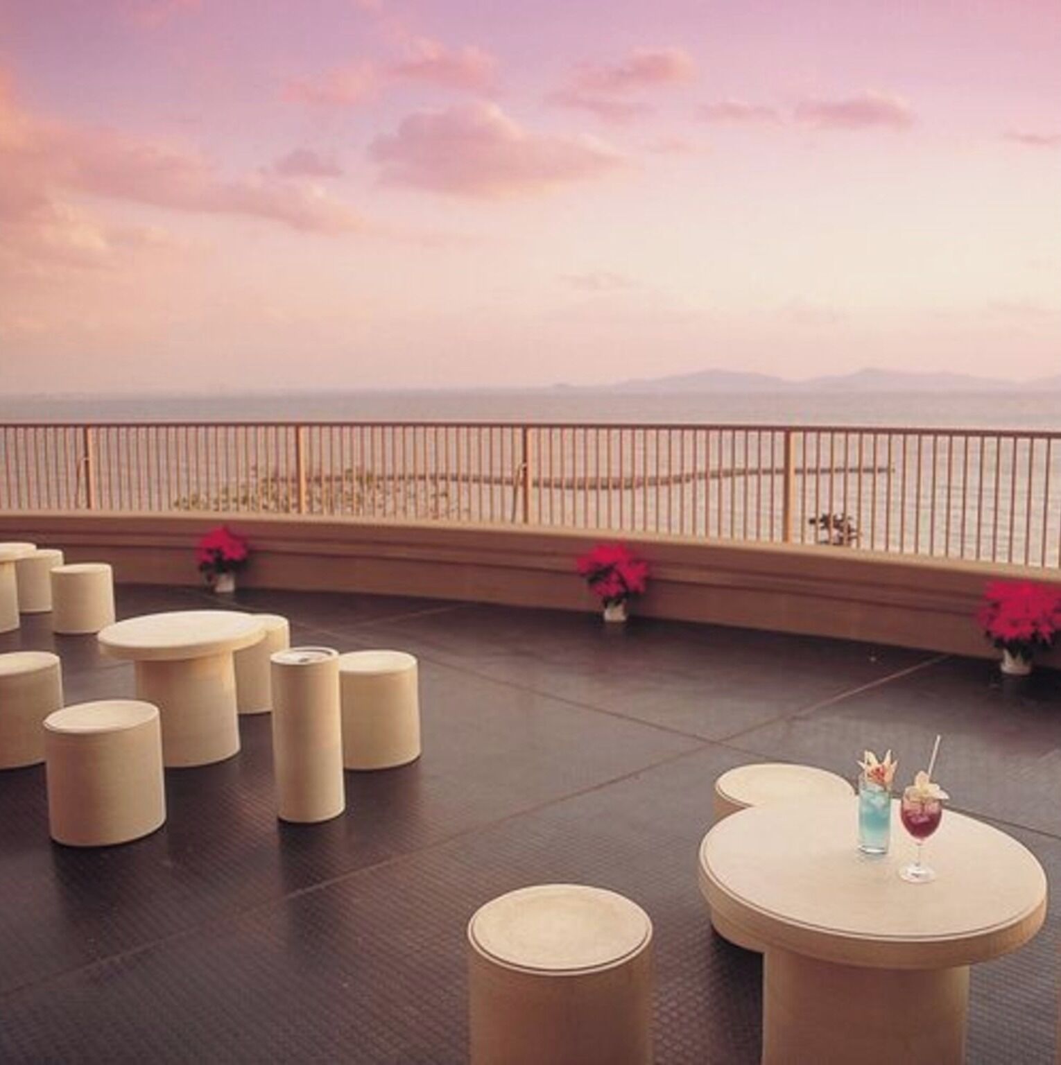 テラス / パティオ