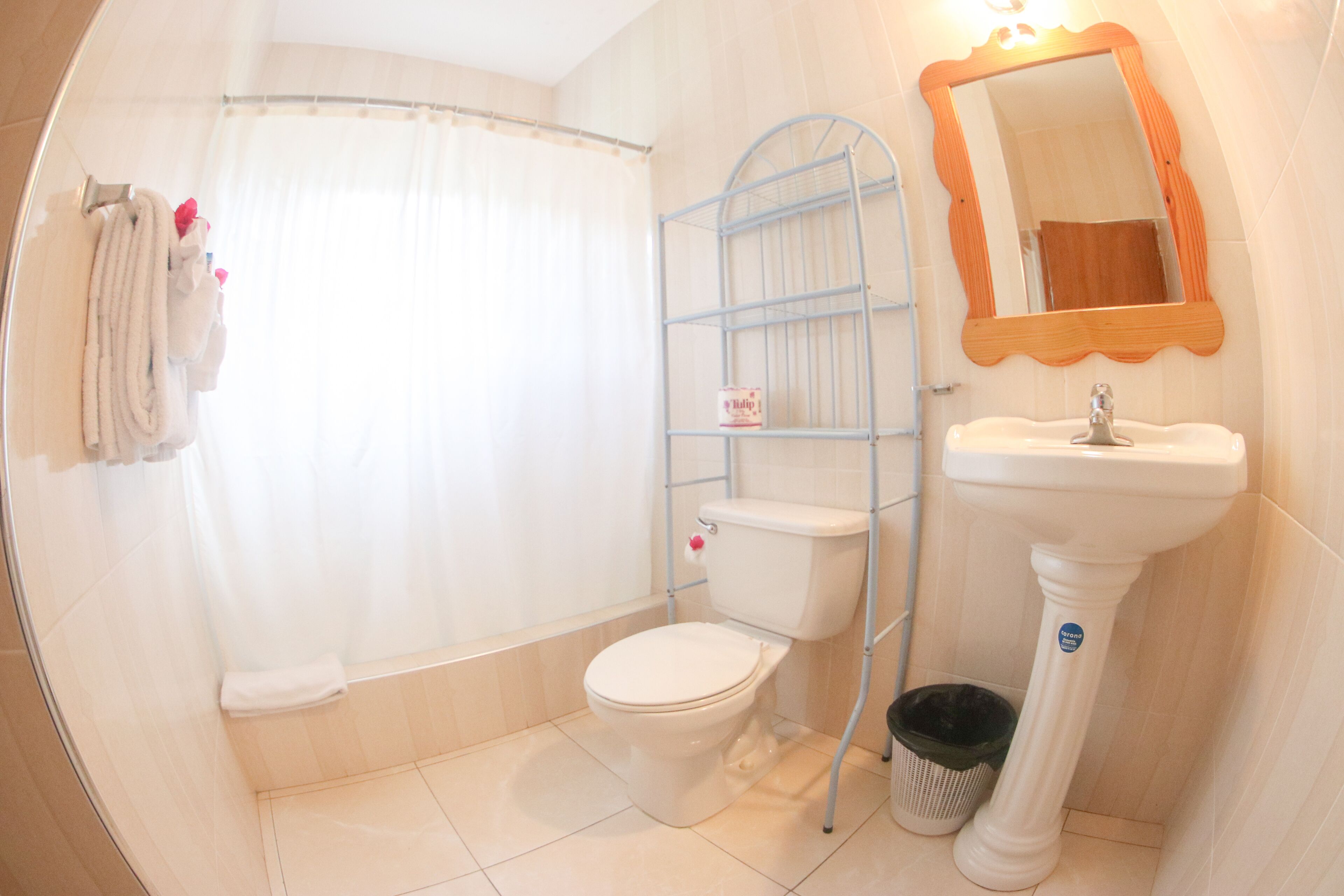 Une salle de bain équipée de toilettes, d’un lavabo, d’un rideau de douche et d’un miroir.