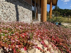 Exterior detail - Whole house charter / Kitsuki Ōita (Kitsuki)