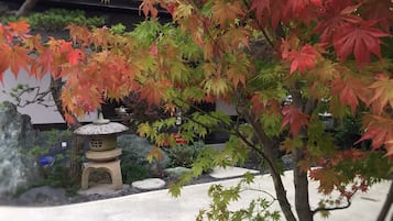 外部細節
