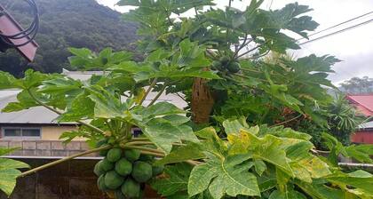 Opened in December 2022 Goemon bath family bath / Amami Kagoshima