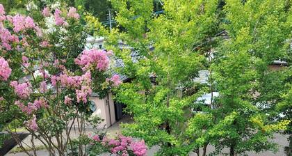 Private villa with private hot spring panoramic v / Yufu Ōita