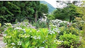 Jardines del alojamiento