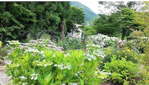 Overnattingsstedets uteområder