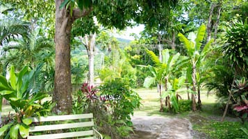 Terras