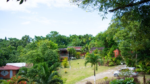 A lush garden with a red building, a white car, and a pathway.