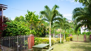 A backyard with a picnic table, a metal fence, and various tropical plants.