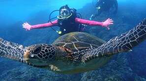 Un buceador nada con una tortuga marina, mostrando un entorno submarino.