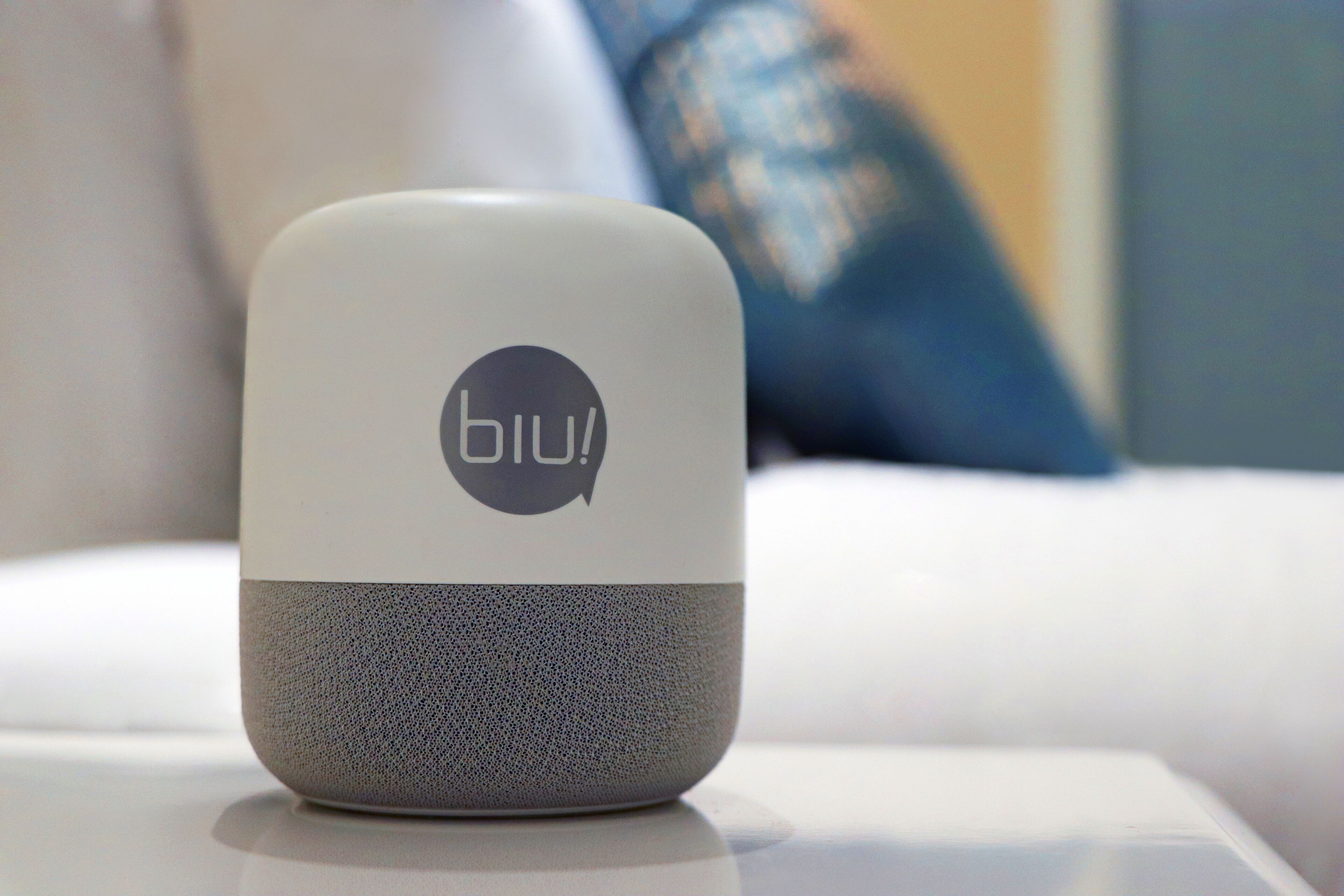 A small, modern, white and gray speaker with the logo "bii" on it.
