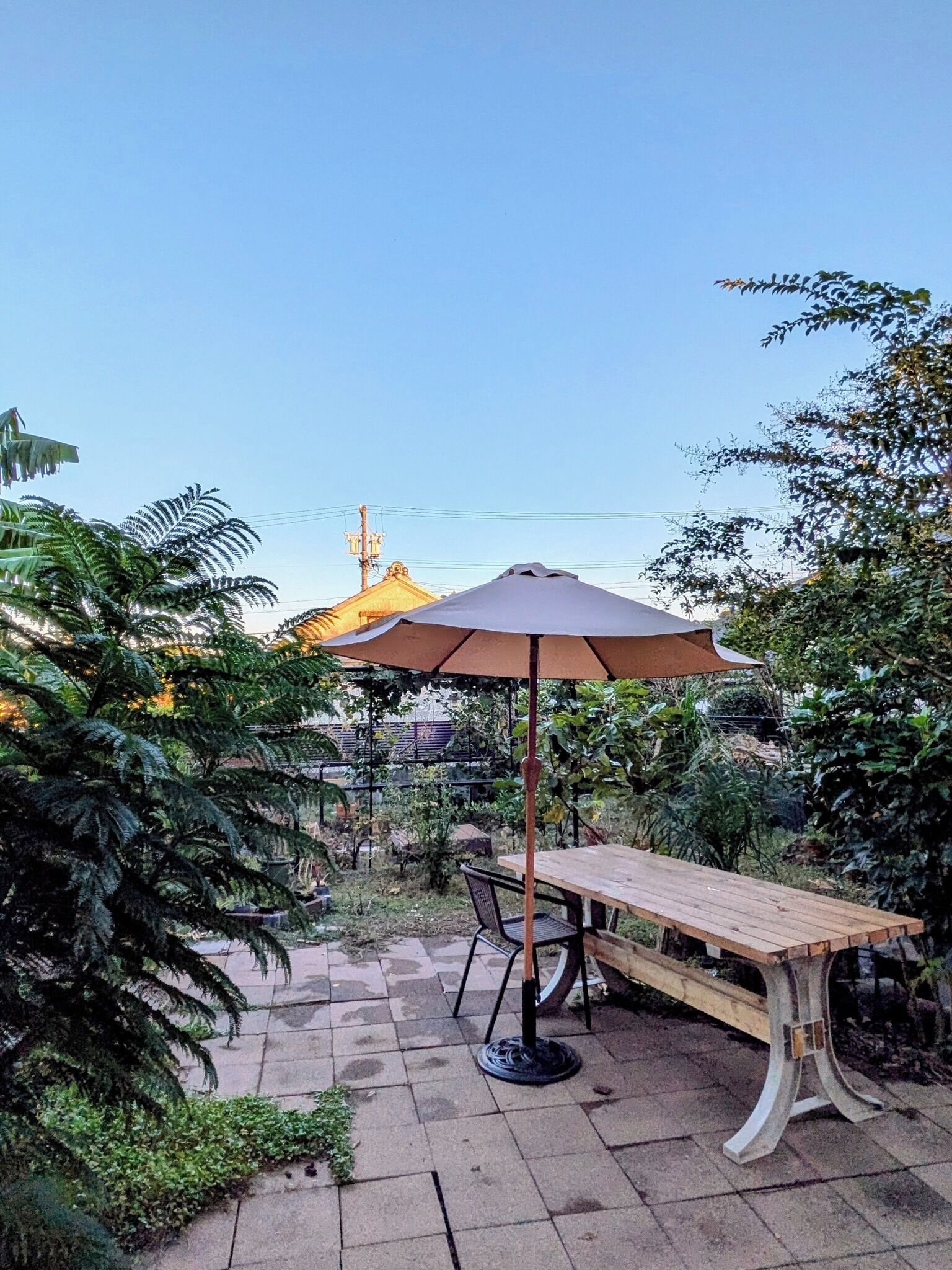 テラス / パティオ