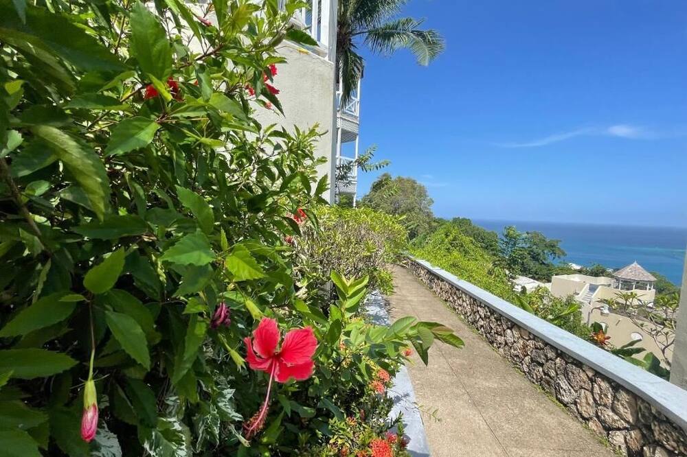 Humming Bird Holiday Retreat