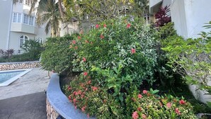 A landscaped garden with a pool, palm trees, and a variety of shrubs and flowers. - Humming Bird Holiday Retreat (Ocho Rios)