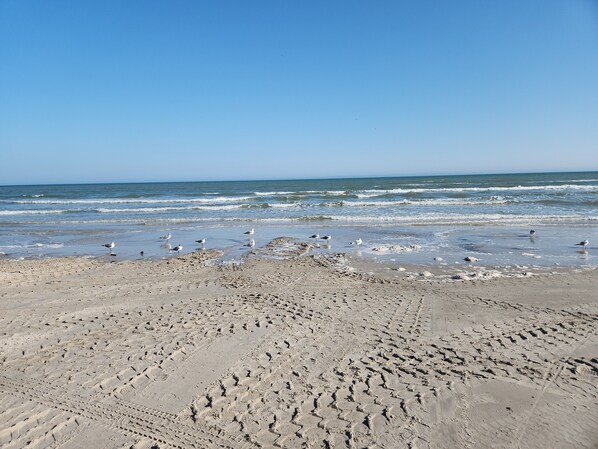 Camastros y toallas de playa 