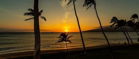 Condo, 1 Bedroom | Beach | On the beach
