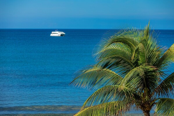 Condo, 1 Bedroom | Beach | On the beach