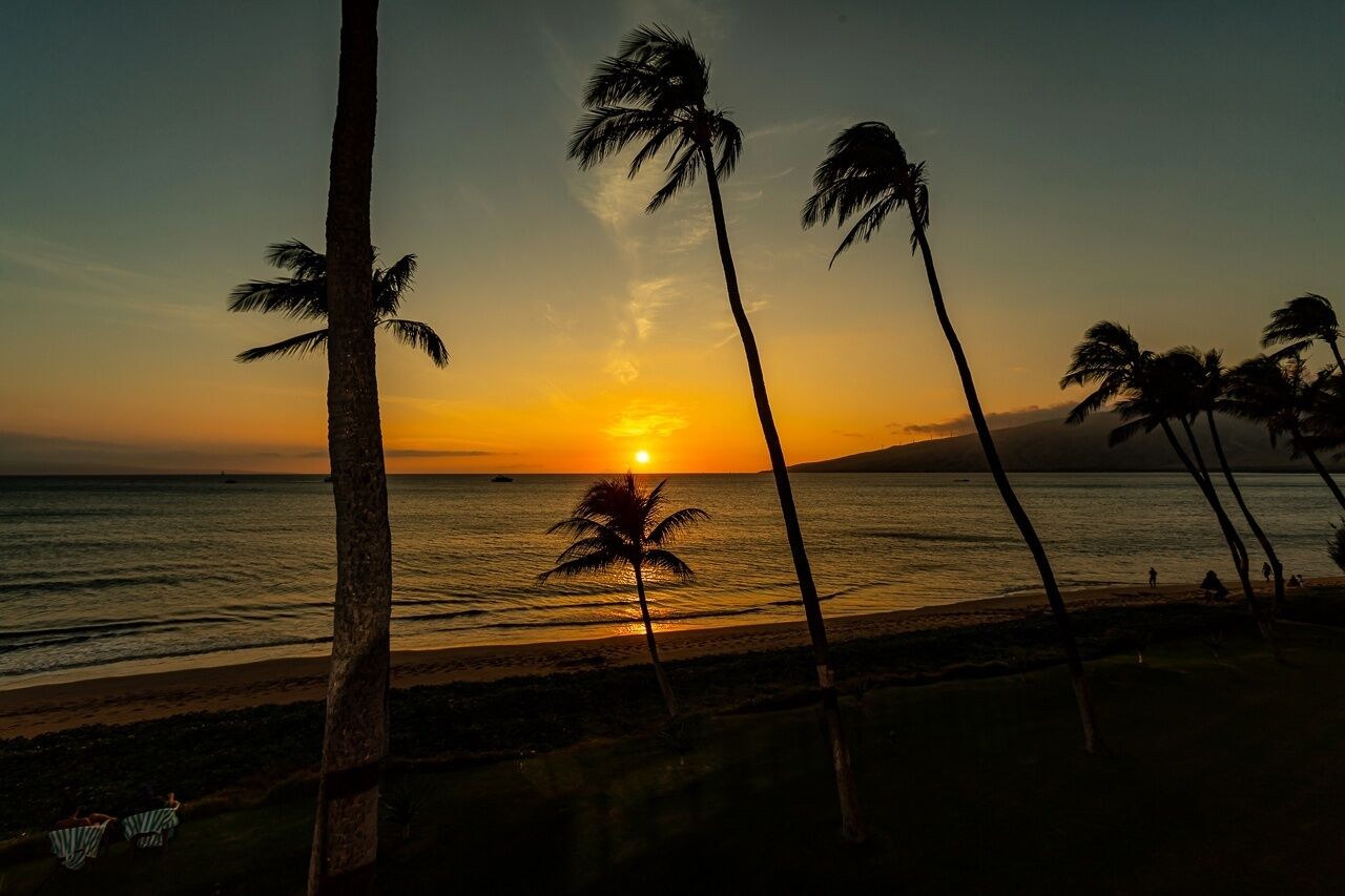 A sunset over a beach with palm trees and a few people in the distance.
