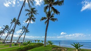 A coastal area with palm trees, a grassy path, and a clear view of the ocean.