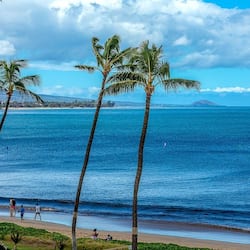 Condo, 1 quarto | Praia | Na praia