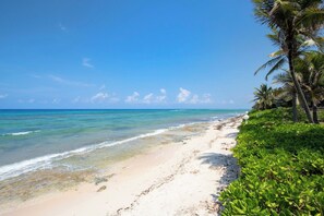 A beach with clear turquoise water, a sandy shore, and a line of palm trees.