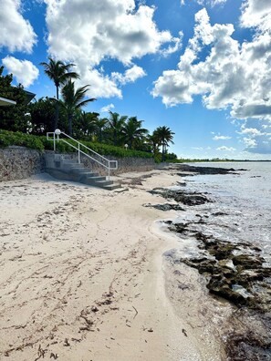 A beach with a staircase leading down to the shore, palm trees, and a clear sky.