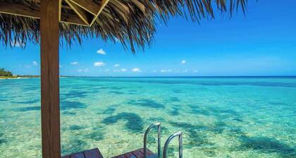 Northern Lights #3 Oceanfront Condo on Northside