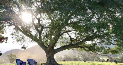 Cookes Road Cottage at Conondale