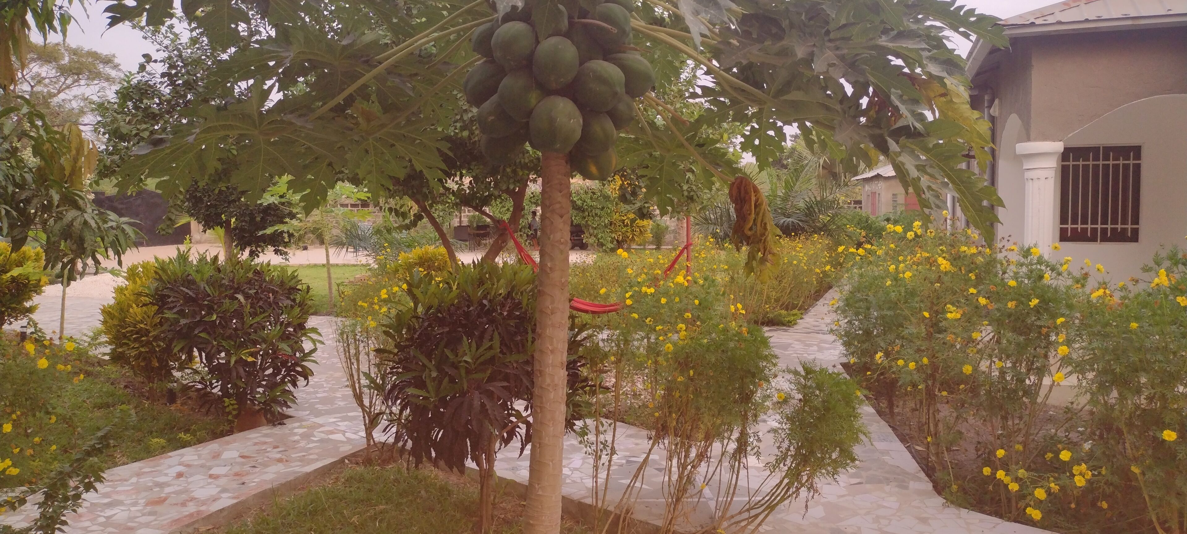Jardines del alojamiento