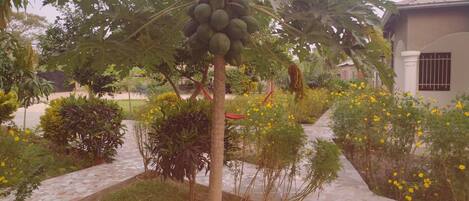 Enceinte de lâhĂ©bergement