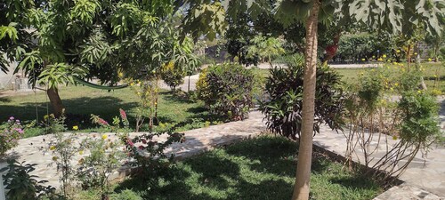 Unique Owl Family Suite 