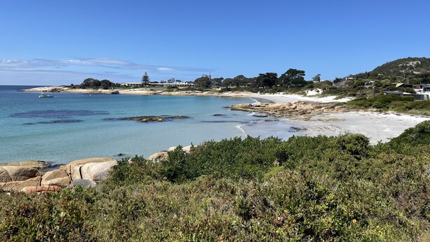 A coastal landscape with a sandy beach, rocky outcrops, and dense greenery. - A cosy garden cottage, just 400m to the surf beach. (Bicheno)