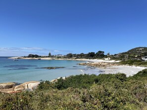 Un paisaje costero con una playa arenosa, afloramientos rocosos y abundante vegetación.