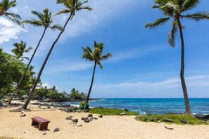 A beach with palm trees, a wooden bench, and a clear blue sky.