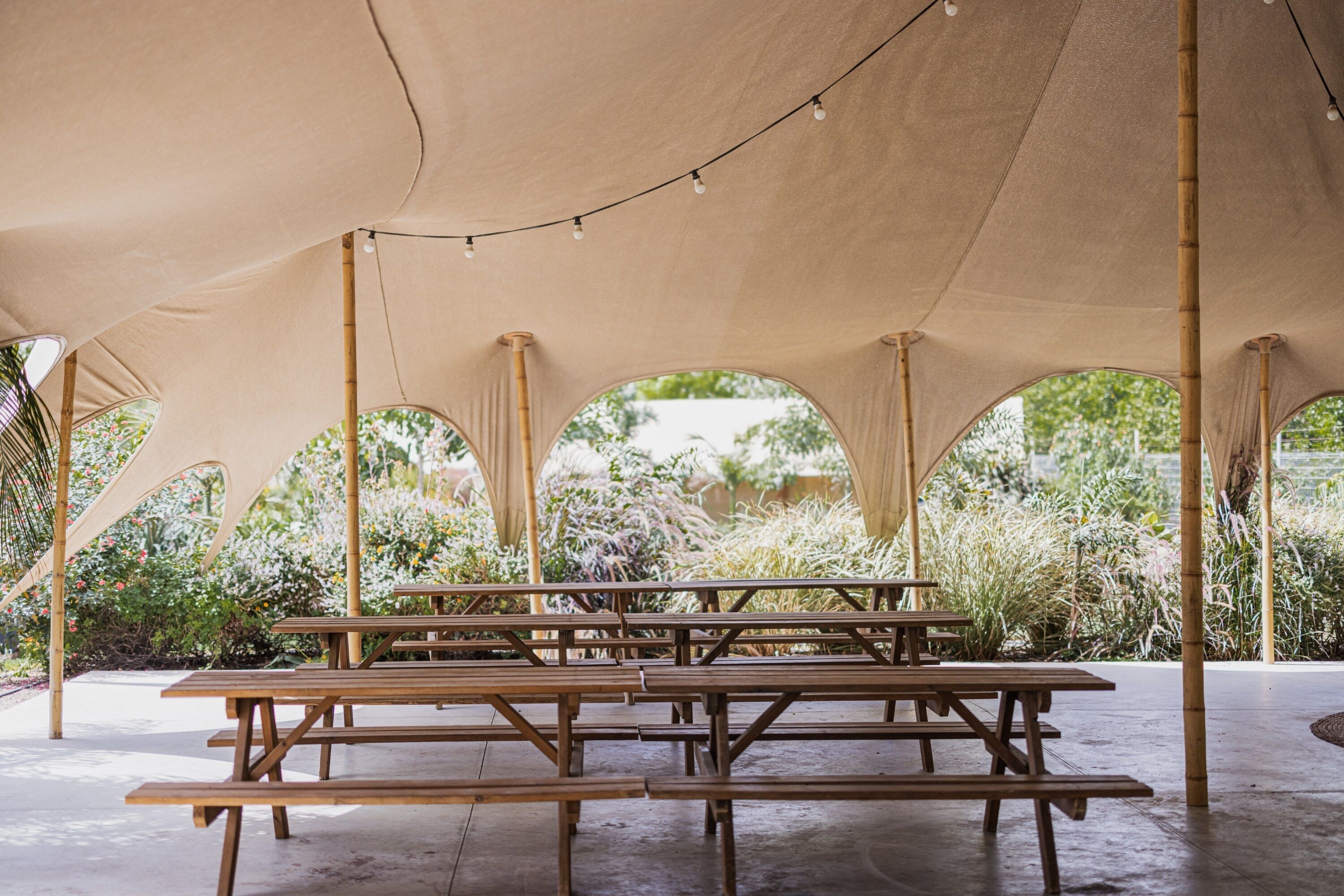 A covered outdoor seating area with wooden picnic tables and string lights.