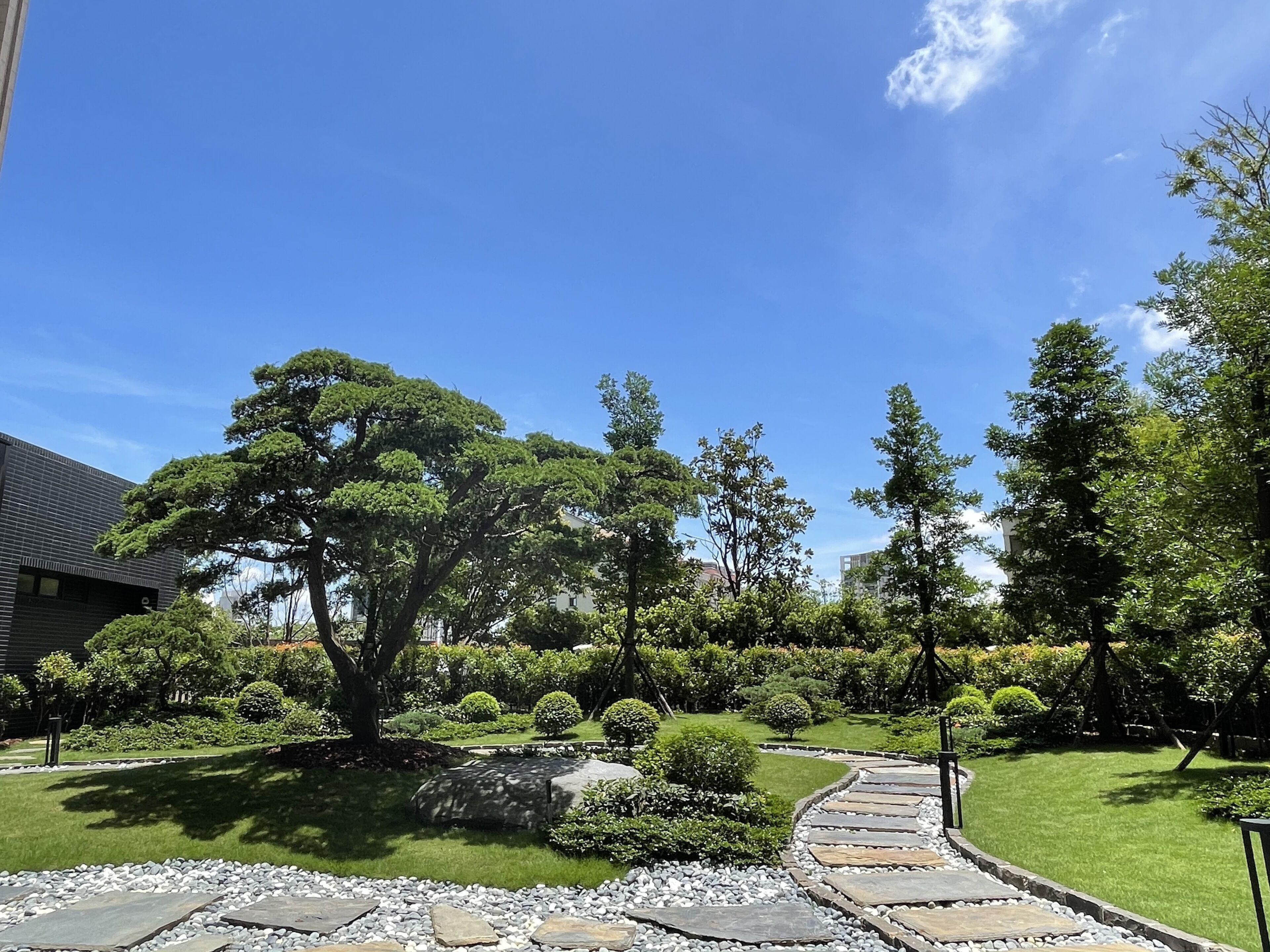 Un jardin aménagé avec un sentier en pierre, différents arbres et une pelouse bien entretenue.