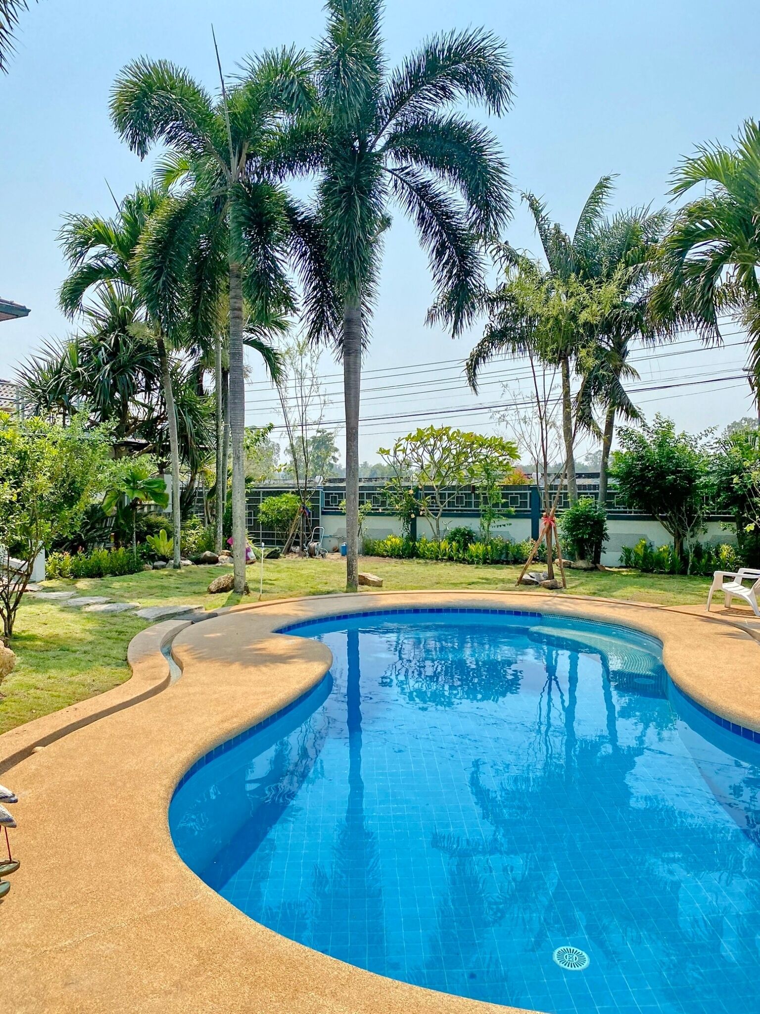 Une piscine à bord incurvé, entourée de palmiers et d’une pelouse.